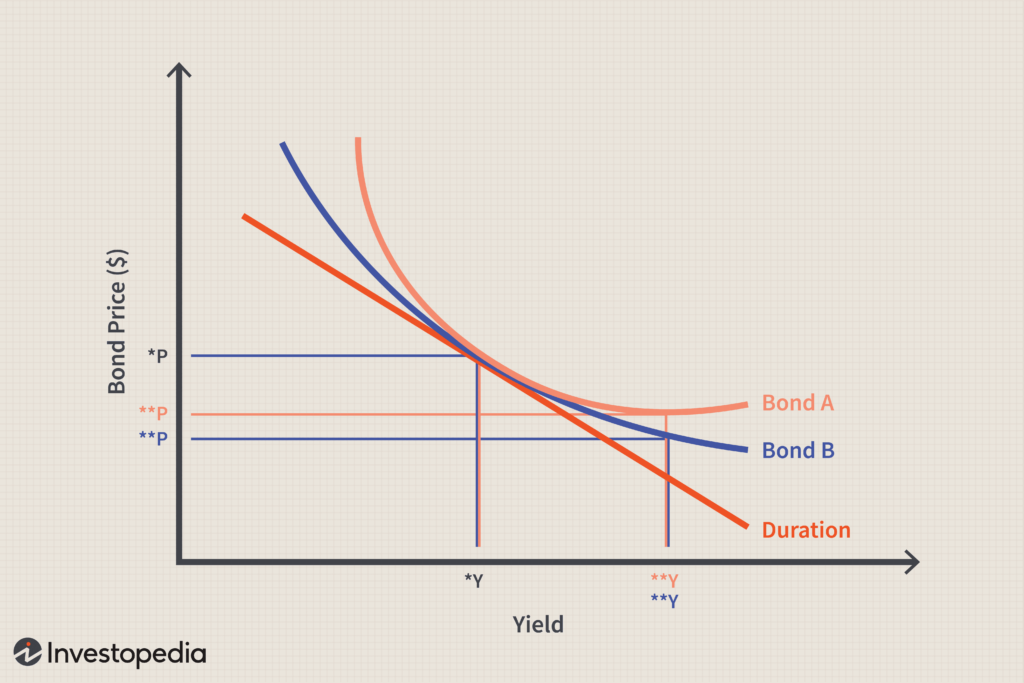 convexity, convessità